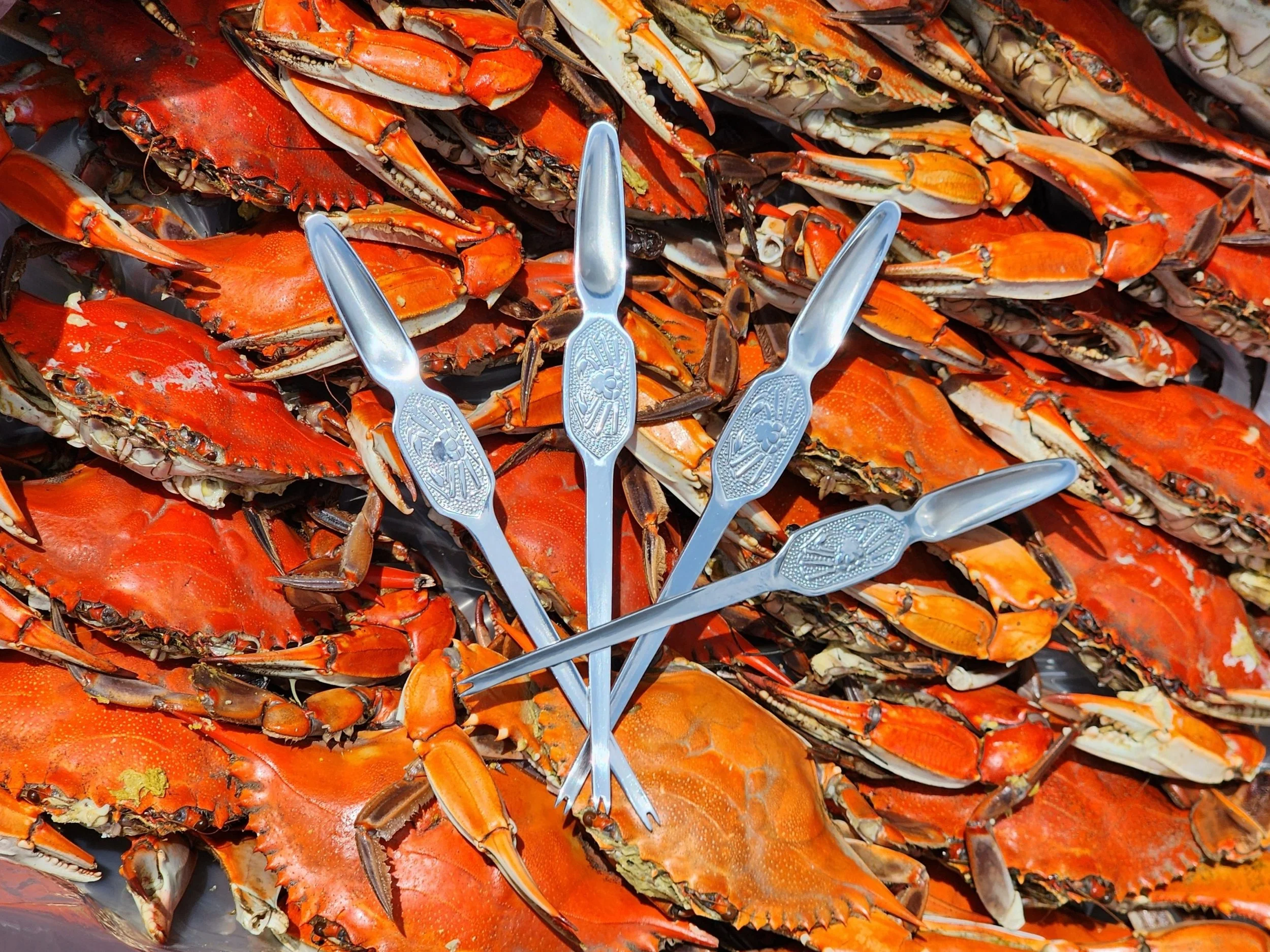 Stainless Steel Crab Pick — Washington Crab